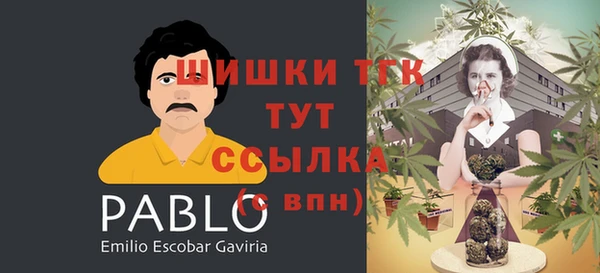 первитин Гусь-Хрустальный