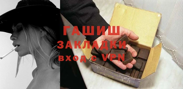 гидра Гусев