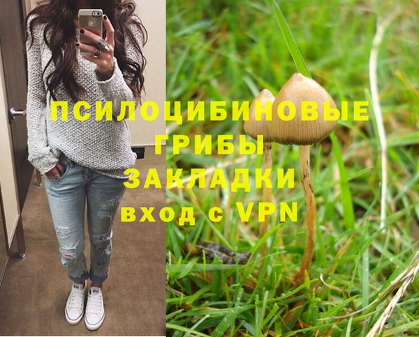 spice Горно-Алтайск