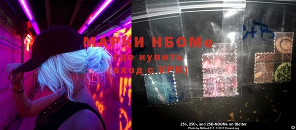 гидра Гусев